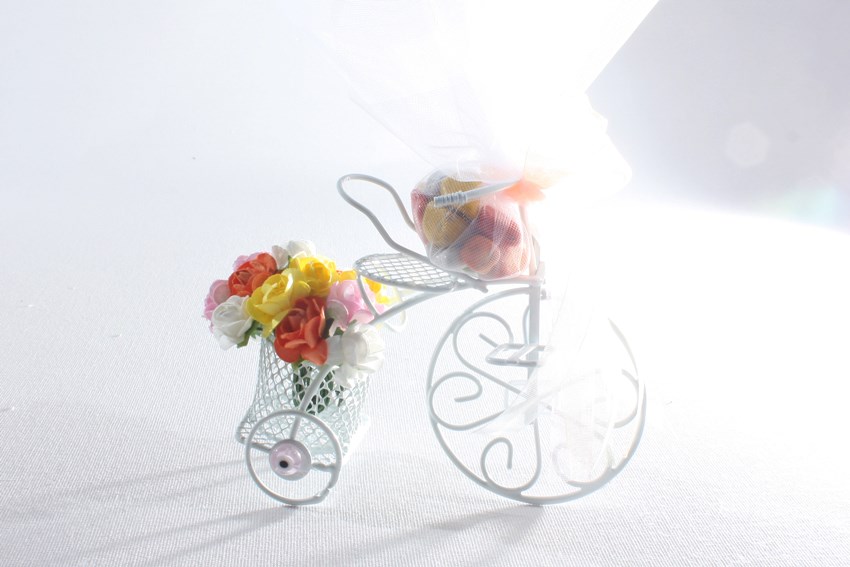 Flowered Bcycle (White)