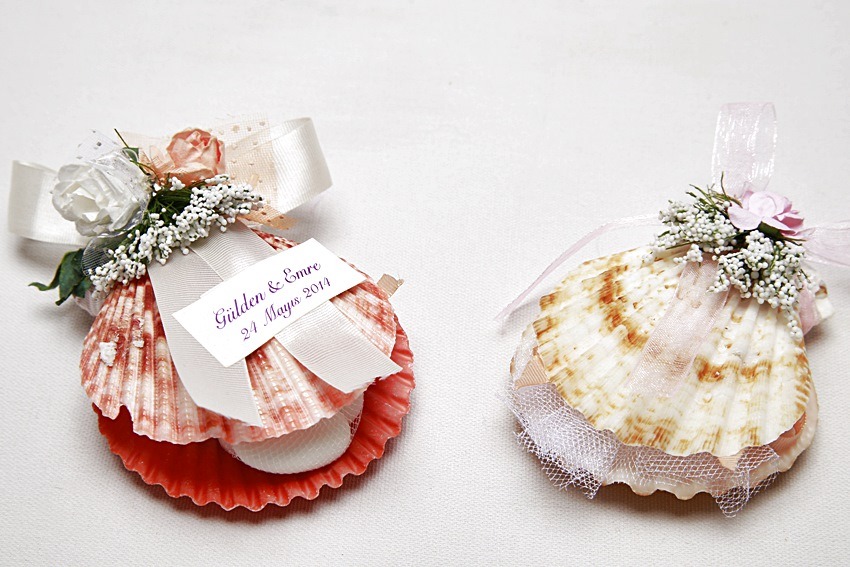 Sea Shells w/ Candies