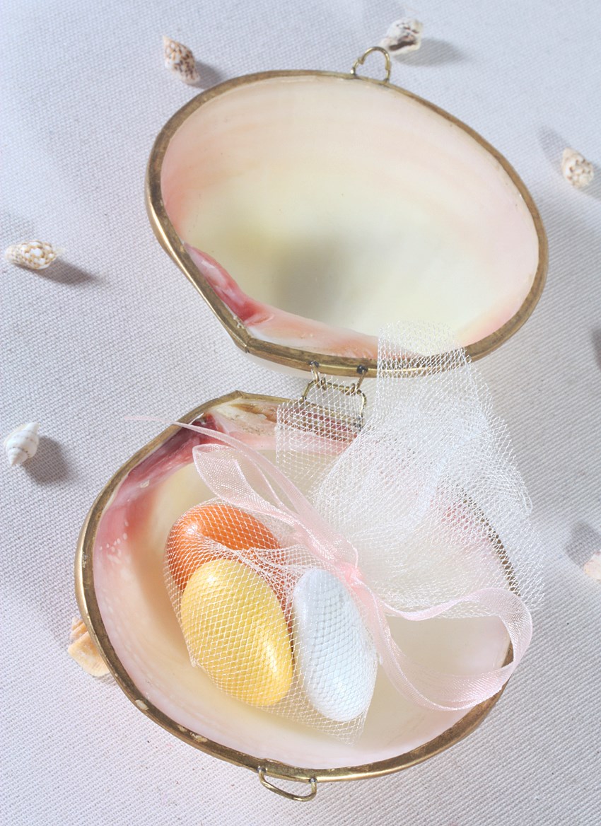 Oystes Shells w/ Cover