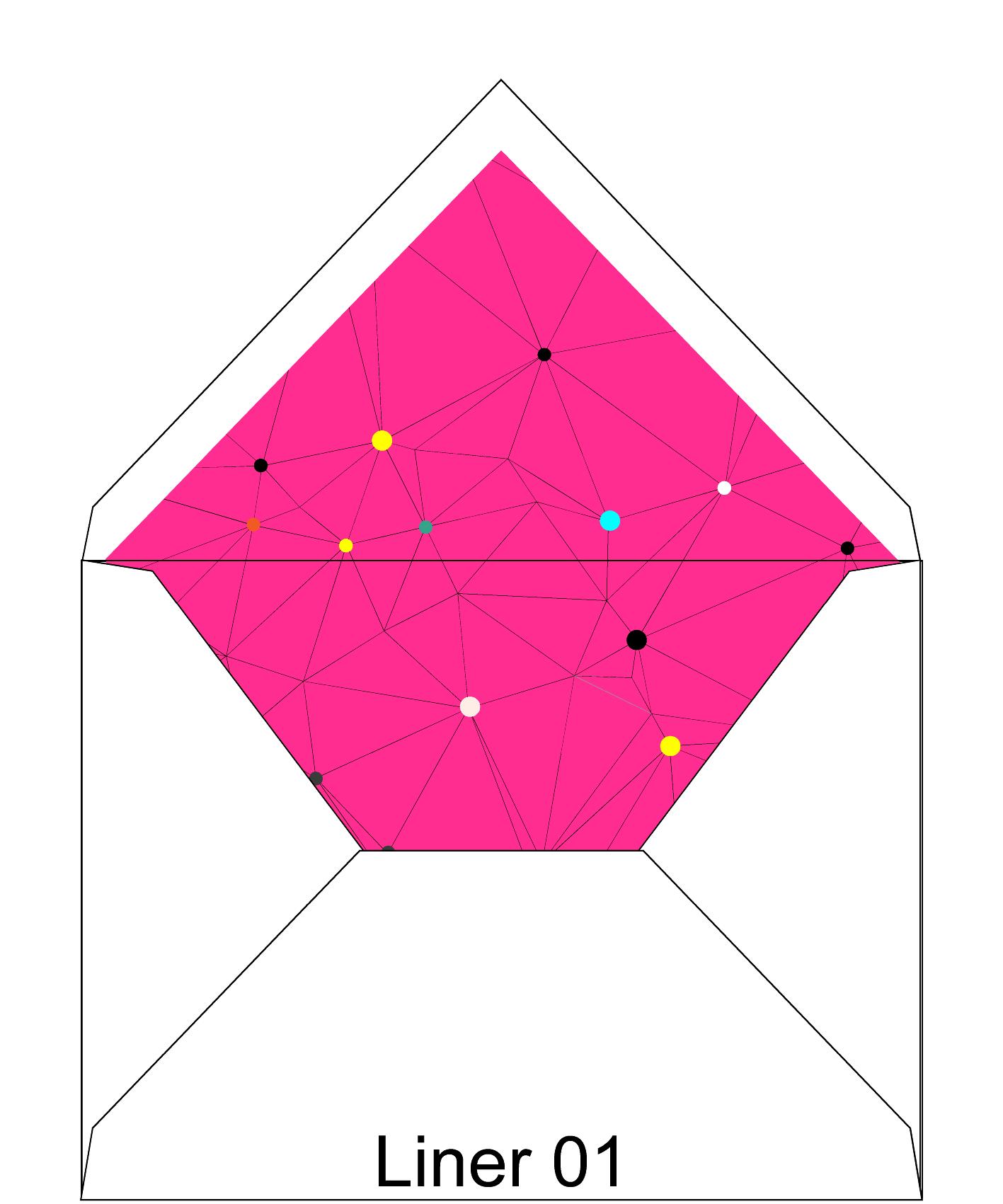 Liner 01