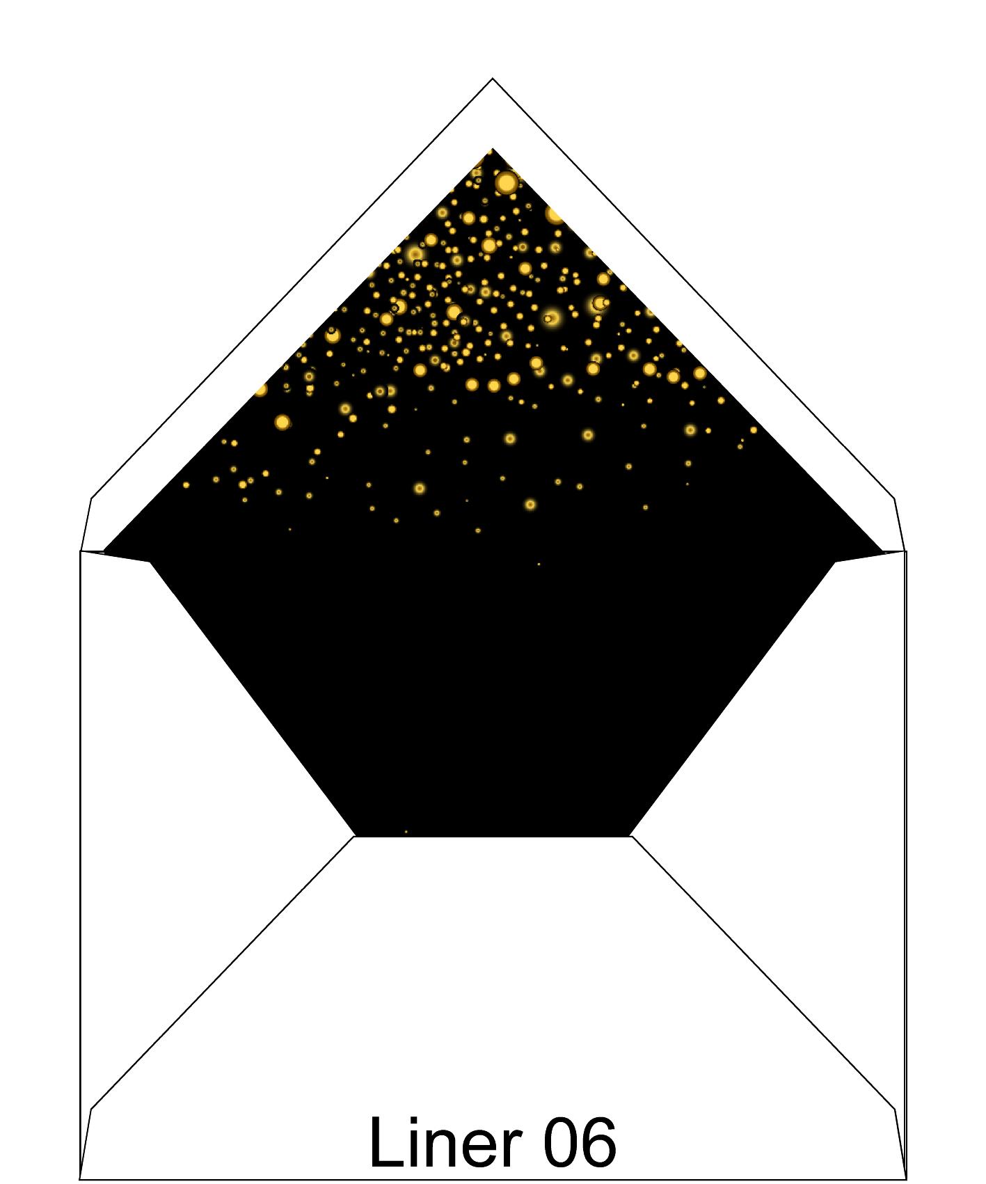 Liner 06