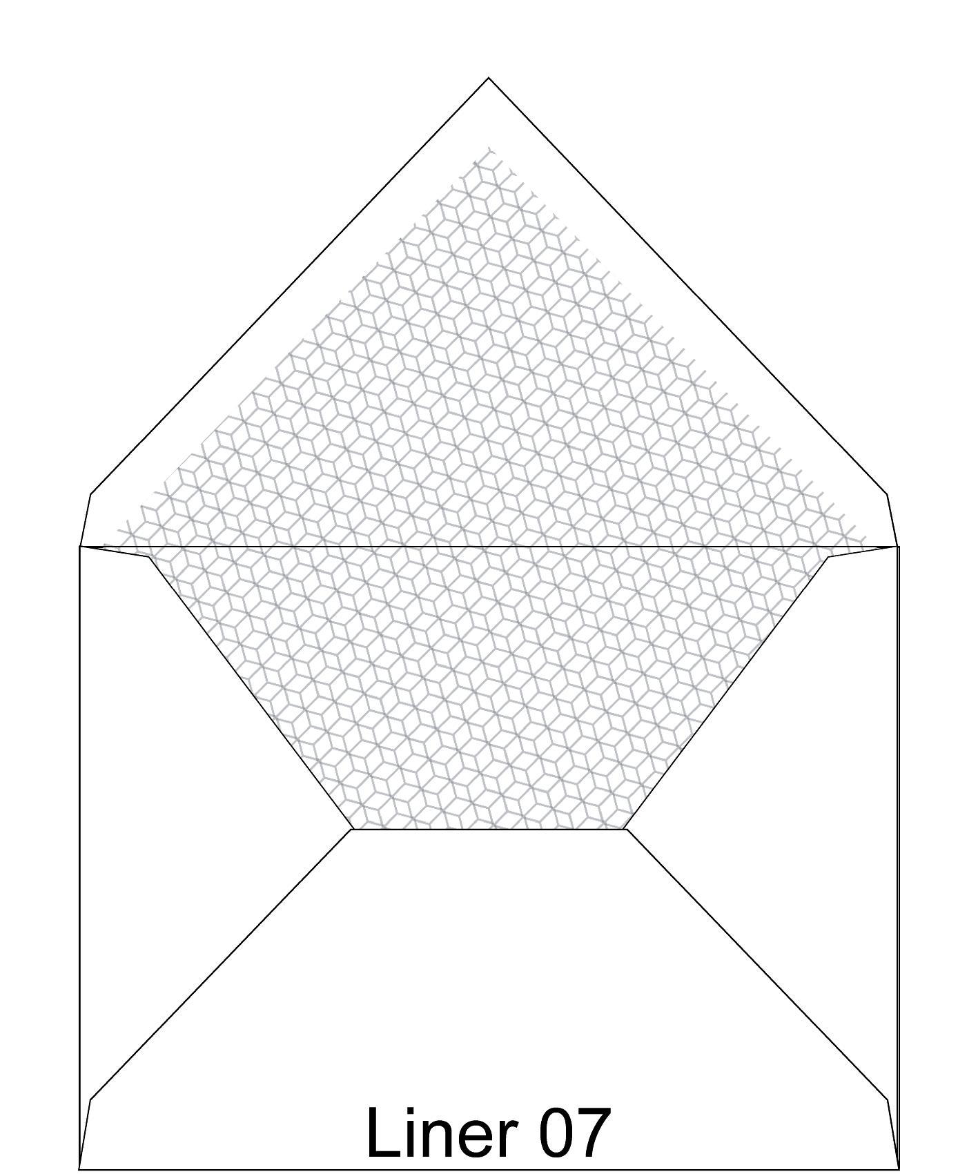 Liner 07