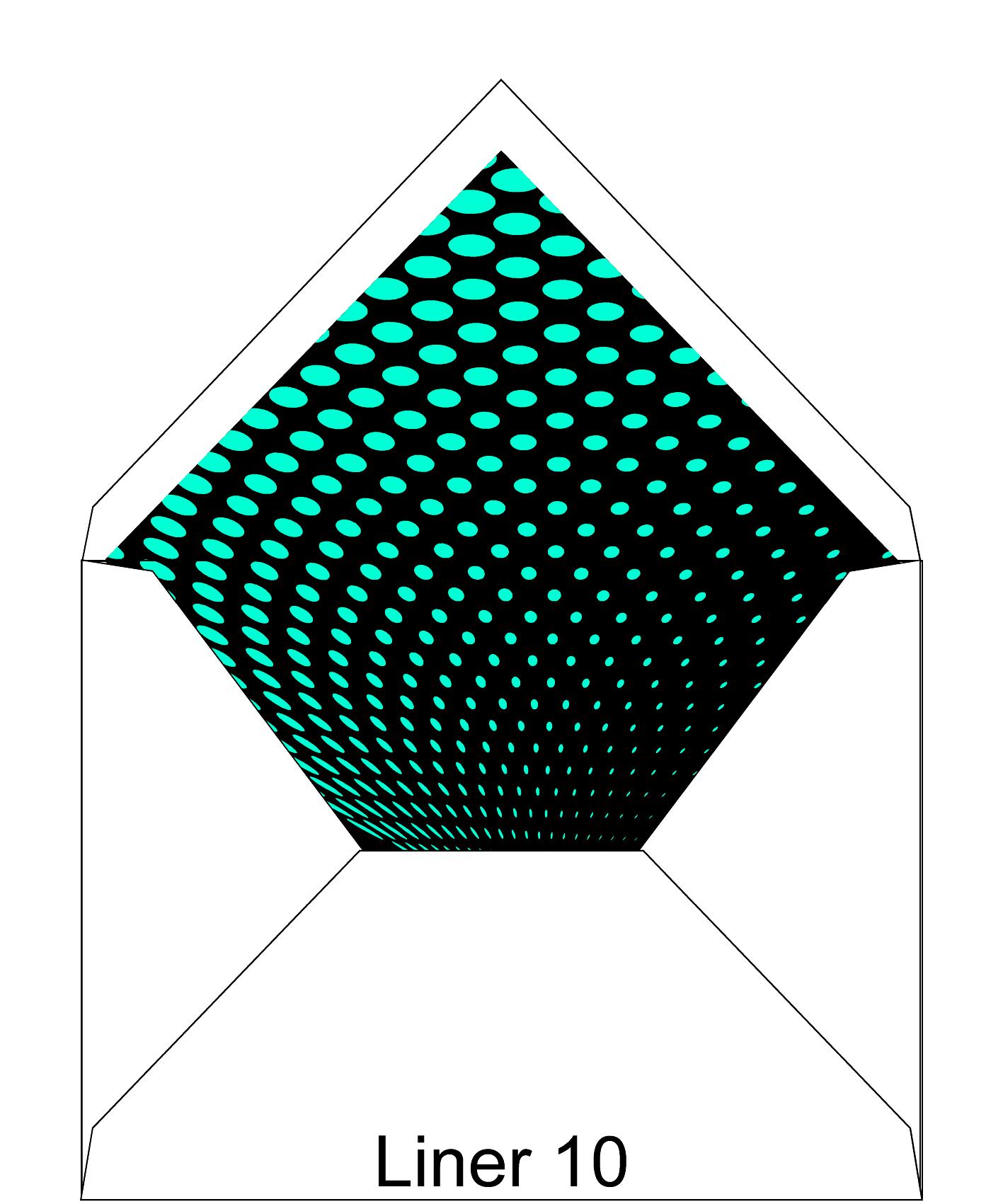 Liner 10