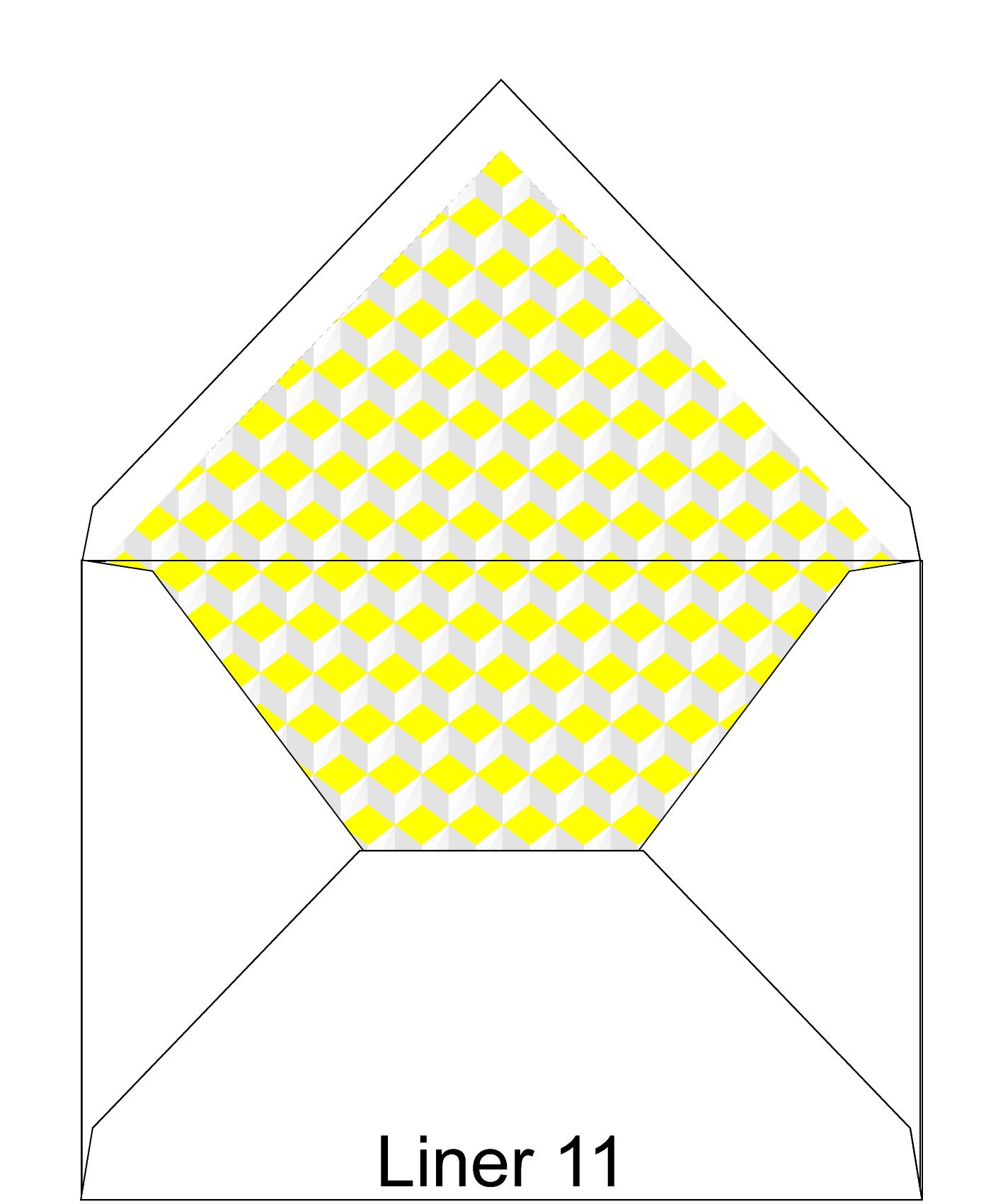 Liner 11