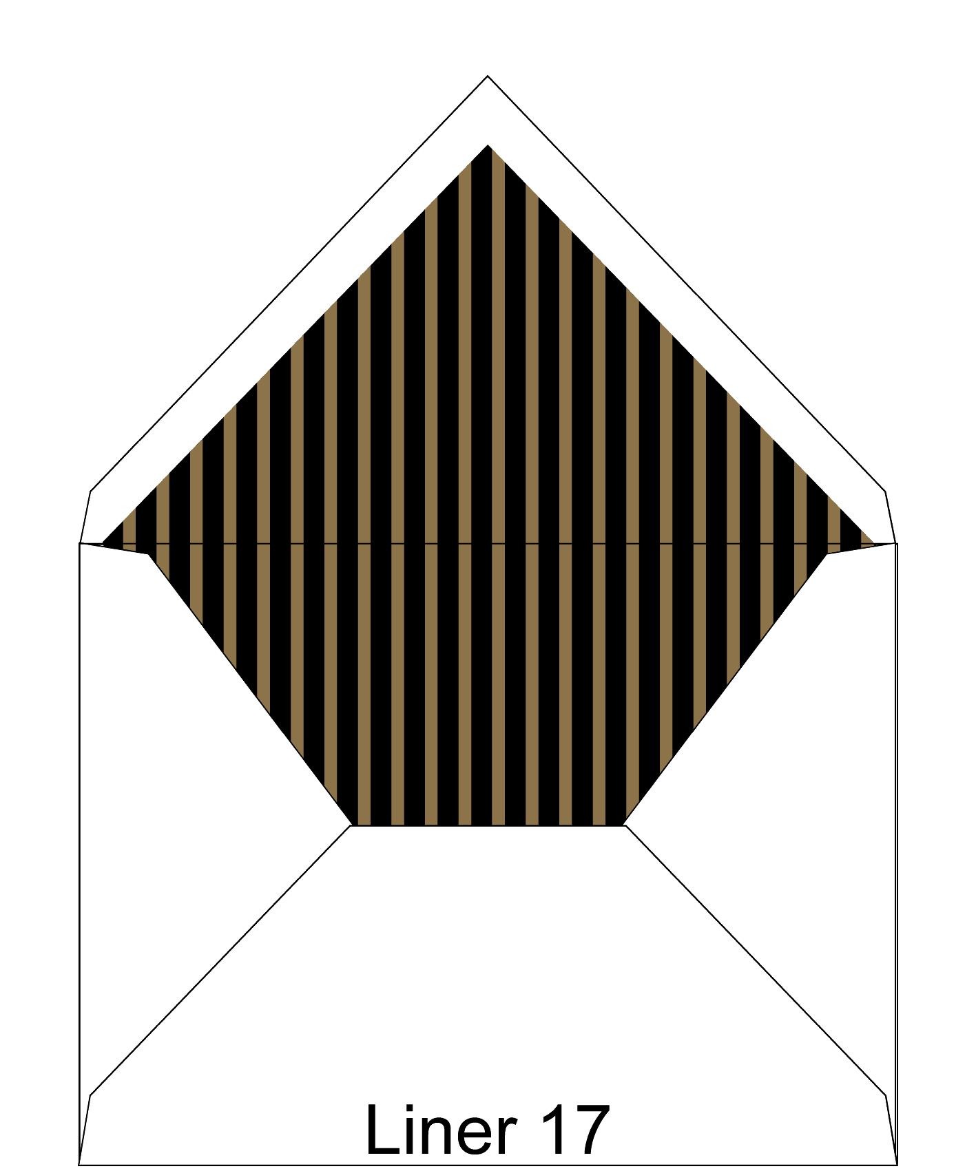 Liner 17