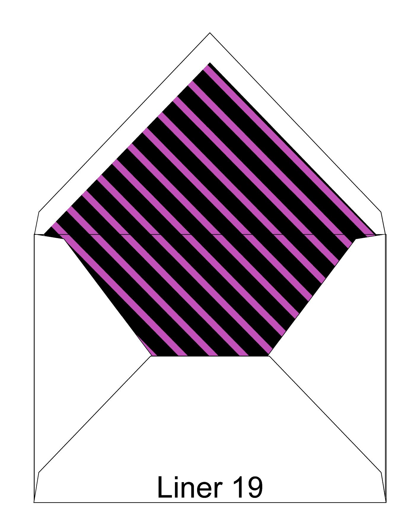 Liner 19
