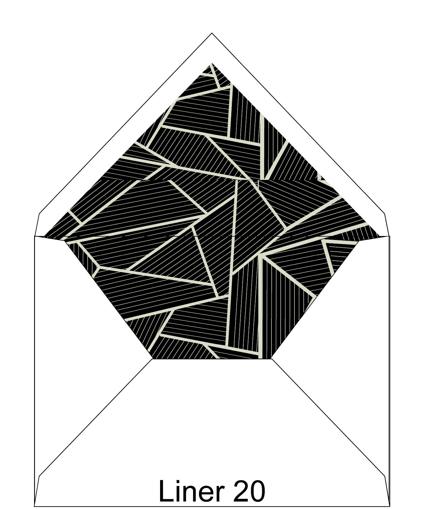 Liner 20