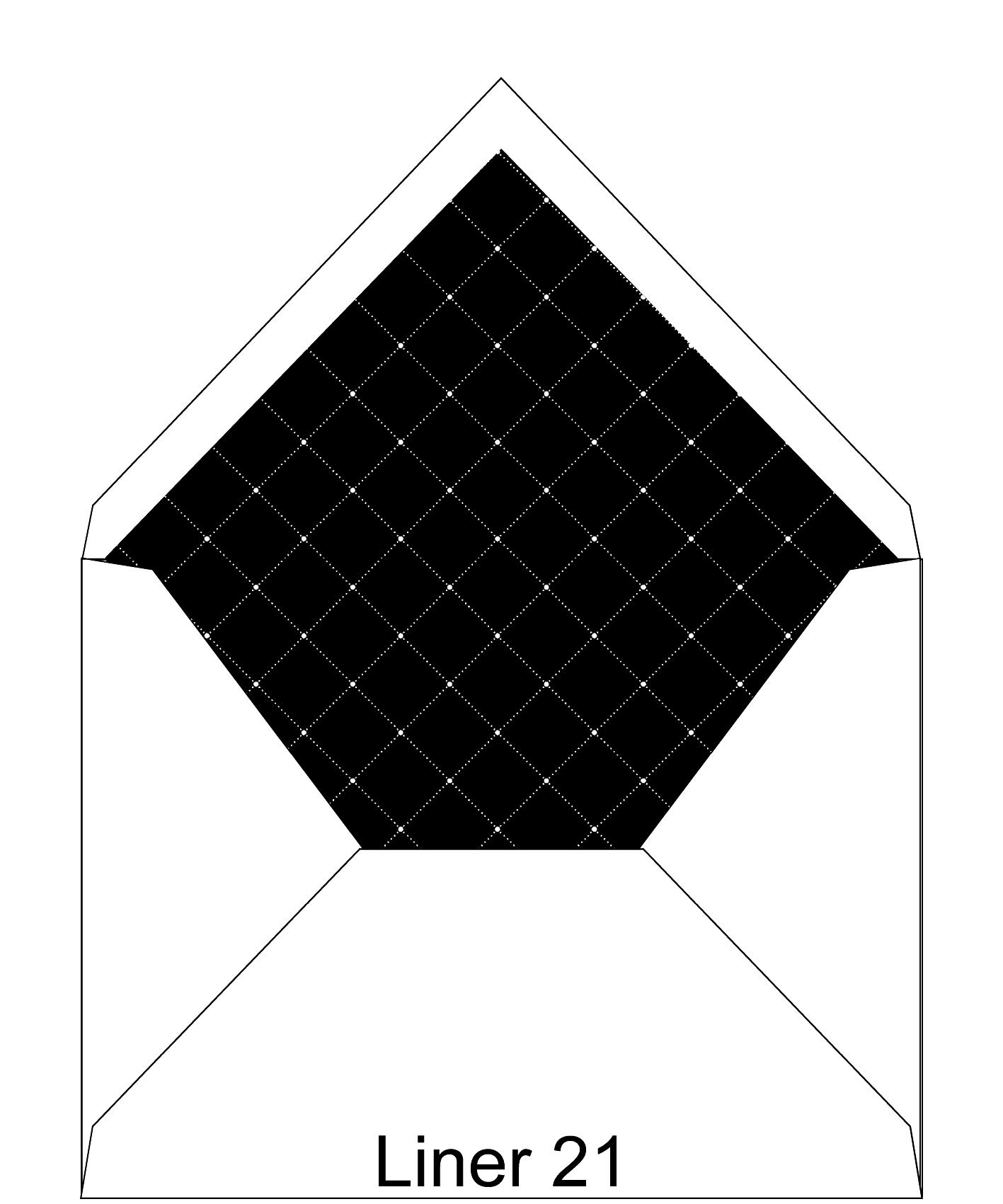 Liner 21