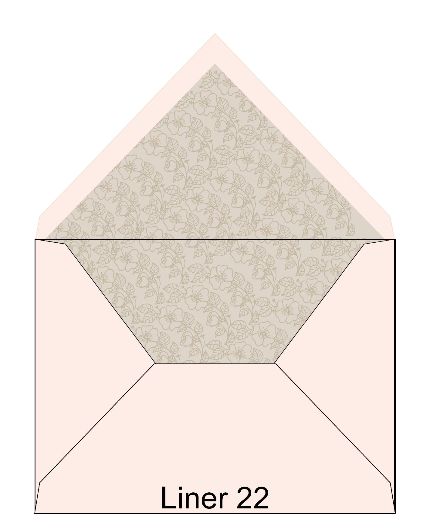 Liner 22