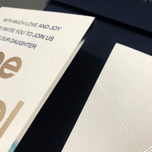 Custom Inv. 101 14 Custom101 cd